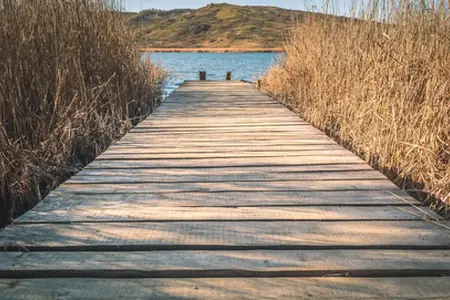 Αγορά ρουμανικής βινιέτας