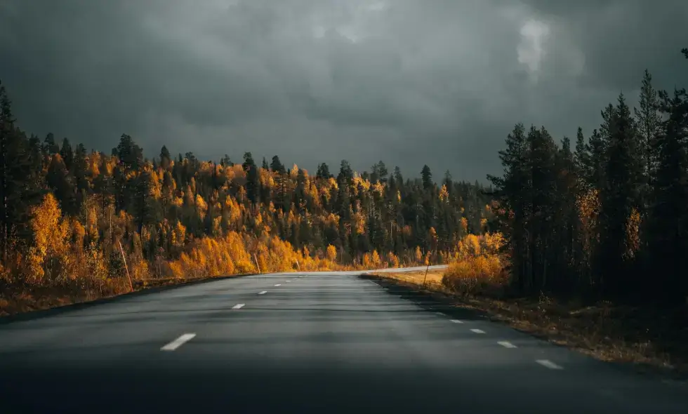 Previše traka za nove puteve u sjevernoj Slovačkoj? Upozorenje stručnjaka u vezi s autocestom D3