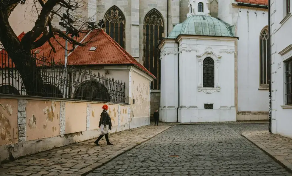 Prednosti kupovine i korištenja slovačke vinjete