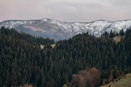 Kupovina rumunske vinjete i savjeti za putovanje
