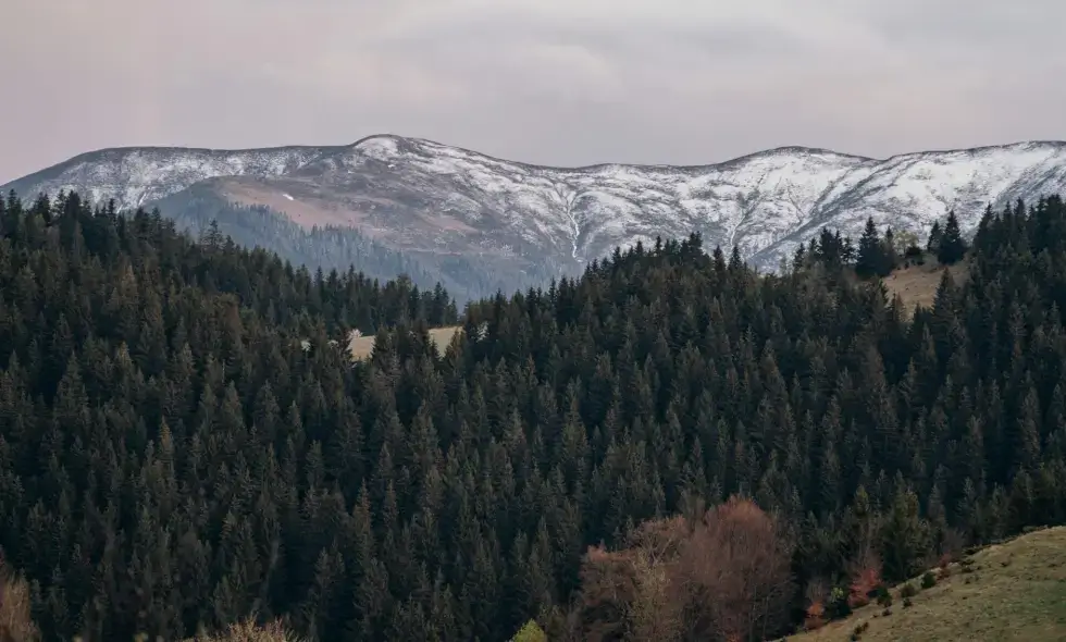 Kupovina rumunske vinjete i savjeti za putovanje