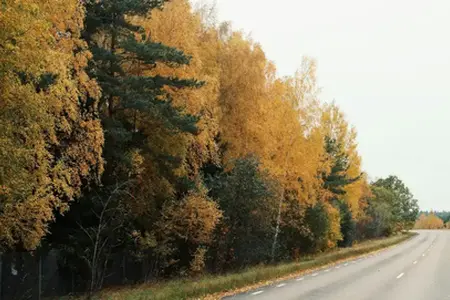 U okolini Kladna završetak velikog renoviranja autoceste D6 usporen je.
